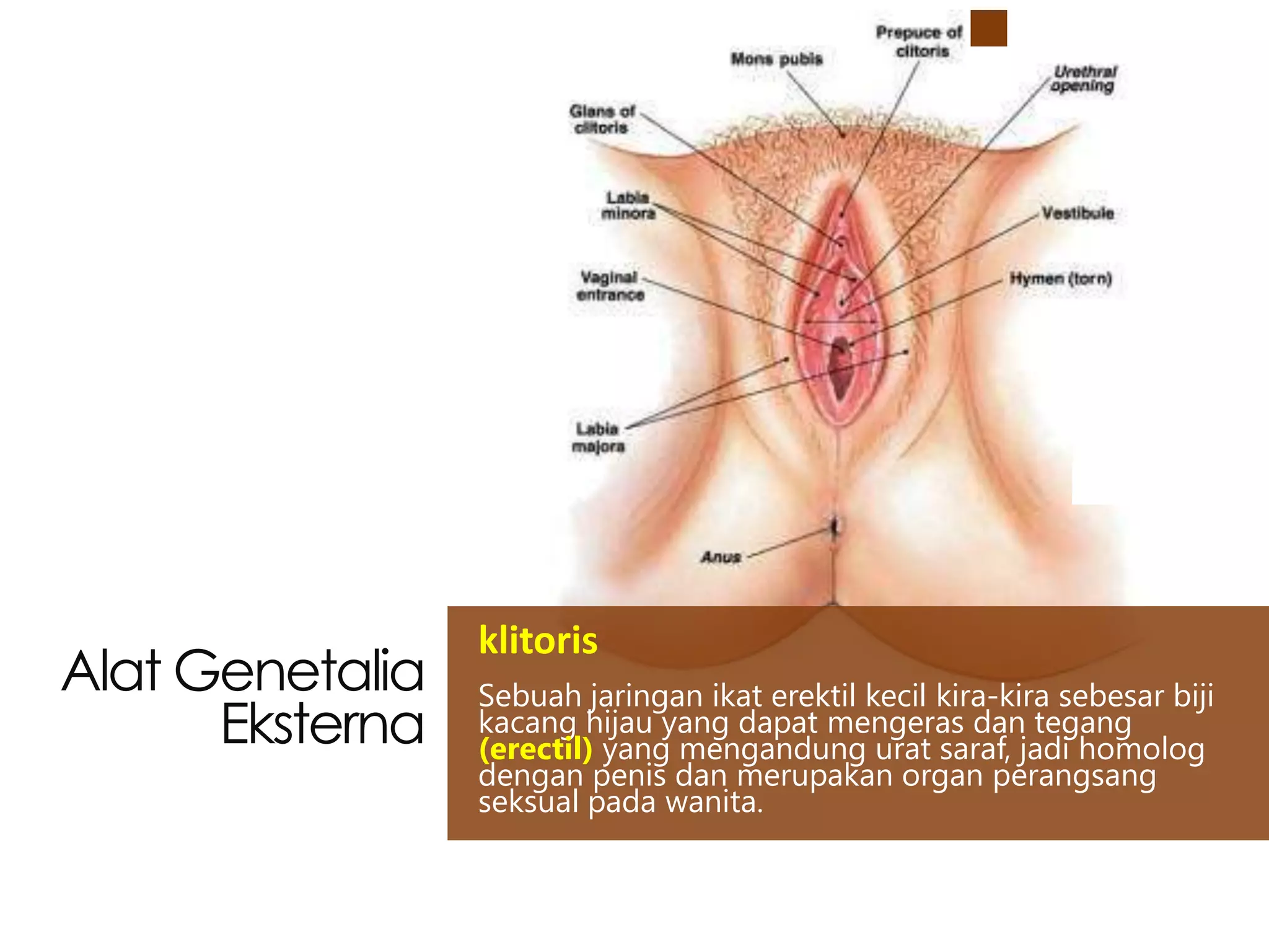 Oltin yomgir onlayn seks video