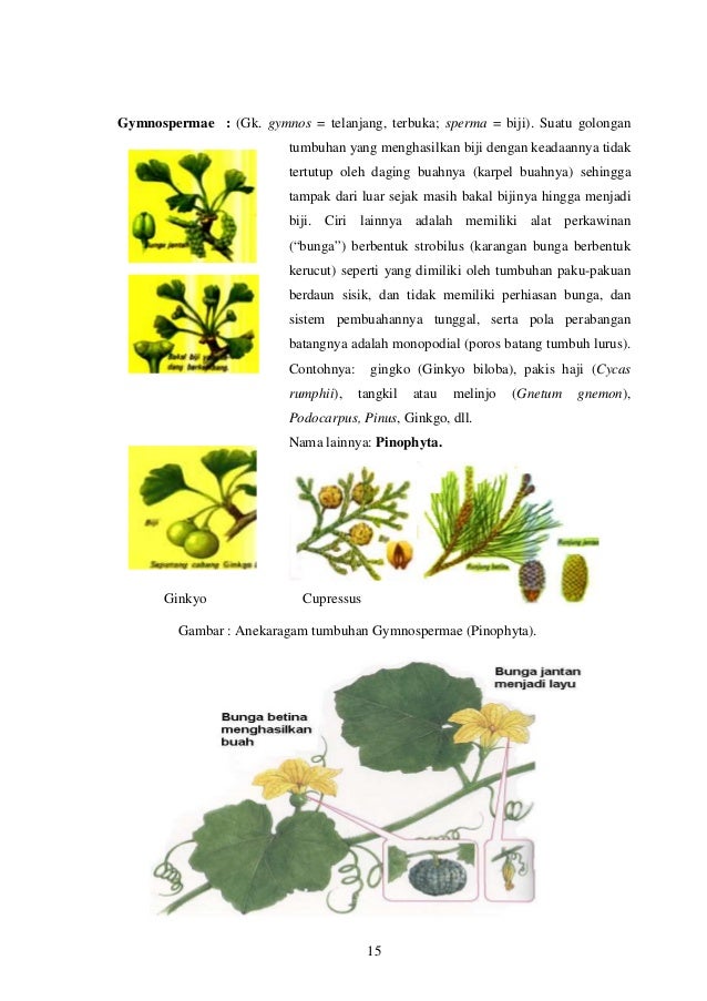 Modul 2 Keanekaragamantumbuhan