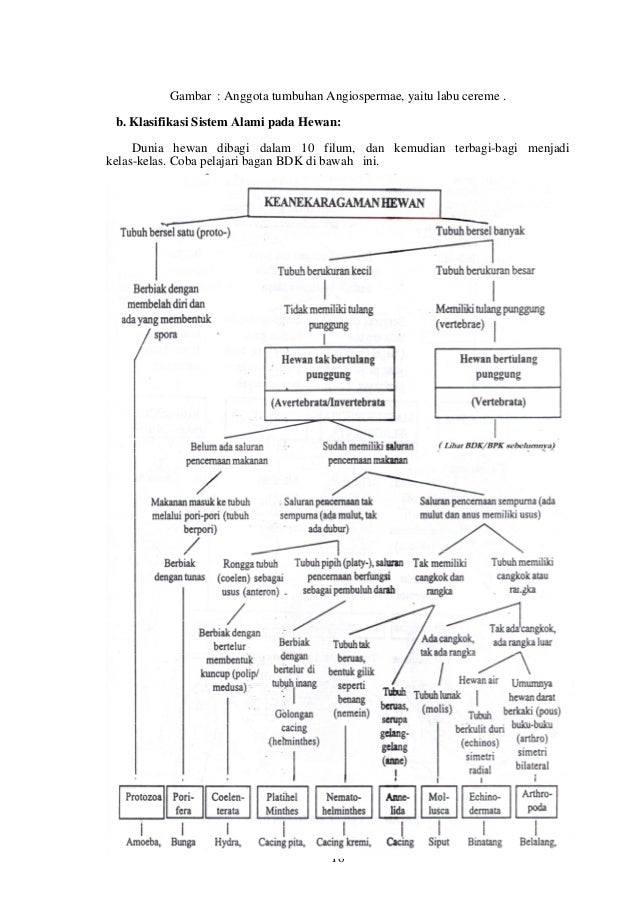 Modul 2 Keanekaragamantumbuhan