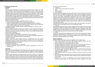 Modul Pendidikan Jarak Jauh Pendidikan Tinggi Kesehatan
Modul Pendidikan Jarak Jauh Jenjang Diploma 3 Program Studi Kebidanan
13
14
III. Kelainan Pada Mammae
A. Mastitis
Definisi
Mastitis adalah peradangan pada payudara yang dapat disertai infeksi atau tidak,
yang disebabkan oleh kuman terutama Staphylococcus aureus melalui luka pada
puting susu atau melalui peredaran darah. Penyakit ini biasanya menyertai laktasi,
sehingga disebut juga mastitis laktasional atau mastitis puerperalis. Infeksi terjadi
melalui luka pada puting susu, tetapi mungkin juga melalui peredaran darah. Kadang-
kadang keadaan ini bisa menjadi fatal bila tidak diberi tindakan yang adekuat.
Absespayudara,penggumpalannanahlokaldidalampayudara,merupakankomplikasi
berat dari mastitis. Macam-macam mastitis dibedakan berdasarkan tempatnya serta
berdasarkan penyebab dan kondisinya.
Mastitis berdasarkan tempat
Mastitis berdasarkan tempatnya dibedakan menjadi 3, yaitu:
a.	 Mastitis yang menyebabkan abses di bawah areola mammae
b.	 Mastitis di tengah-tengah mammae yang menyebabkan abses di tempat itu
c.	 Mastitis pada jaringan di bawah dorsal dari kelenjar-kelenjar yang menyebabkan
abses antara mammae dan otot-otot di bawahnya.
Sedangkan pembagian mastitis menurut kondisinya dibagi pula menjadi 3, yaitu :
a. Mastitis periductal
Mastitis periductal biasanya muncul pada wanita di usia menjelang menopause,
penyebab utamanya tidak jelas diketahui. Keadaan ini dikenal juga dengan sebutan
mammary duct ectasia, yang berarti peleburan saluran karena adanya penyumbatan
pada saluran di payudara.
b. Mastitis puerperalis/lactational
Mastitis puerperalis banyak dialami oleh wanita hamil atau menyusui.
Penyebab utama mastitis puerperalis yaitu kuman yang menginfeksi payudara ibu,
yang ditransmisi ke puting ibu melalui kontak langsung.
c. Mastitis supurativa
Mastitis supurativa paling banyak dijumpai. Penyebabnya bisa dari kuman
Staphylococcus, jamur, kuman TBC dan juga sifilis. Infeksi kuman TBC memerlukan
penanganan yang ekstra intensif. Bila penanganannya tidak tuntas, bisa menyebabkan
pengangkatan payudara/mastektomi.
Berdasarkan etiologinya:
a. Mastitis karena stasis ASI/ non infeksiosa
b. Mastitis infeksiosaà yang paling sering adalah Staphylococcus aureus dan
Streptococcus.
Penyebab
Pada umumnya yang dianggap porte d’entrée dari kuman penyebab ialah putting susu
yang luka atau lecet, dan kuman perkontinuitatum menjalar ke duktulus-duktulus
dan sinus. Sebagian besar yang ditemukan pada pembiakan pus ialah stafilokokus
aureus.
Mastitis terjadi akibat invasi jaringan payudara (misalnya : glandular, jaringan ikat,
areolar, lemak) oleh organisme infeksius atau adanya cidera payudara. Organisme
yang umum termasuk S. aureus, streptococci, dan H. parainfluenzae. Cidera payudara
mungkin disebabkan memar karena manipulasi yang kasar, pembesaran payudara,
statis air susu ibu dalam duktus, atau pecahnya atau fisura putting susu.Bakteri dapat
berasal dari beberapa sumber:
a.	 Tangan ibu
b.	 Tangan orang yang merawat ibu atau bayi
c.	Bayi
d.	 Duktus laktiferus
e.	 Darah sirkulasi
Stress dan keletihan dikaitkan dengan mastitis. Hal ini masuk akal karena stress dan
keletihan dapat menyebabkan kecerobohan dalam teknik penanganan, terutama
saat mencuci tangan, atau melewatkan waktu menyusui, atau mengubah frekuensi
menyusui yang dapat menyebabkan pembesaran dan stasis. Infeksi jamur pada
payudara juga dapat terjadi jika bayi mengalami sariawan, atau jika ibu mengalami
infeksi jamur vagina persisten. Jika puting susu cidera, atau jika ibu menggunakan
antibiotic yang mempengaruhi flora normal kulit, jamur payudara cenderung terjadi.
Infeksi ini dapat diidentifikasi dengan awitan akut nyeri tajam, menusuk pada putting
susu jika bayi menyusu.
Penyebab utama mastitis adalah statis ASI dan infeksi. Statis ASI biasanya merupakan
penyebab primer yang dapat disertai atau menyebabkan infeksi.
a.	 Statis ASI
Statis ASI terjadi jika ASI tidak dikeluarkan dengan efisien dari payudara. Hal ini terjadi
jika payudara terbendung segera setelah melahirkan, atau setiap saat jika bayi tidak
mengisap ASI, kenyutan bayi yang buruk pada payudara, pengisapan yang tidak
efektif, pembatasan frekuensi/durasi menyusui, sumbatan pada saluran ASI, suplai
ASI yang sangat berlebihan dan menyusui untuk kembar dua/lebih.
b.	Infeksi
Organisme yang paling sering ditemukan pada mastitis dan abses payudara adalah
organisme koagulase-positif Staphylococcus aureus dan Staphylococcus albus.
Escherichia coli dan Streptococcus kadang-kadang juga ditemukan. Mastitis jarang
ditemukan sebagai komplikasi demam tifoid.
Faktor Predisposisi
Beberapa faktor yang diduga dapat meningkatkan risiko mastitis, yaitu :
a.	 Umur, wanita berumur 21-35 tahun lebih sering menderita mastitis dari pada
wanita di bawah usia 21 tahun atau di atas 35 tahun.
b.	 Paritas, mastitis lebih banyak diderita oleh primipara.
c.	 Serangan sebelumnya, serangan mastitis pertama cenderung berulang, hal ini
merupakan akibat teknik menyusui yang buruk yang tidak diperbaiki.
d.	 Melahirkan, komplikasi melahirkan dapat meningkatkan risiko mastitis, walaupun
penggunaan oksitosin tidak meningkatkan resiko.
e.	 Gizi, asupan garam dan lemak tinggi serta anemia menjadi faktor predisposisi
terjadinya mastitis. Antioksidan dari vitamin E, vitamin A dan selenium dapat
mengurangi resiko mastitis.
f.	 Faktor kekebalan dalam ASI, dapat memberikan mekanisme pertahanan dalam
payudara.
g.	 Stres dan kelelahan, wanita yang merasa nyeri dan demam sering merasa lelah dan
ingin istirahat, tetapi tidak jelas apakah kelelahan dapat menyebabkan keadaan
ini atau tidak.
h.	Pekerjaan di luar rumah, ini diakibatkan oleh statis ASI karena interval antar
menyusui yang panjang dan kekurangan waktu dalam pengeluaran ASI yang
 
