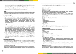 Modul Pendidikan Jarak Jauh Pendidikan Tinggi Kesehatan
Modul Pendidikan Jarak Jauh Jenjang Diploma 3 Program Studi Kebidanan
9
10
terfiksis antara kepala janin dan tulang panggul, maka tarikan regangan ini melewati
kekuatan jaringan, akan terjadi robekan pada vagina bagian atas.
b.	Trauma sewaktu mengeluarkan plasenta secara manual. Dalam hal ini tangan
dalam tidak masuk ke kavum uteri, tetapi menembus forniks posterios, sehingga
kavum douglas menjadi tembus/terbuka.
c.	 Pada waktu melakukan koitus yang disertai dengan kekerasan.
Gejala
Gejala-gejaladarikolporeksisinilebihkurangsamadengangejalarupturauterisehingga
tindakan pertolongannya tidak berbeda dengan tindakan pertolongan ruptura uteri.
7. Fistula Vesikavaginal
Etiologi
Fistula ini dapat terjadi karena :
a.	 Trauma sewaktu menggunakan alat-alat (Perforaktoe, kait dekapitasi, cunam).
b.	 Persalinan lama (obstructed labor). Dalam hal ini dinding vagina dan dasar vesika
urinaria terletak ke dalam waktu yang lama antara kepala dan tulang panggul,
sehingga menyebabkan terjadinya nekrosis jaringan. Beberapa hari setelah
melahirkan, jaringan nekrosis ini terlepas, sehingga terjadi fistula antara visika
urinaria dengan vagina.
Penanganan
a.	 Fistula vesikovaginal yang disebabkan oleh trauma pada keadaan ini segera setelah
terjadi fistula, kelihatan air kencing menetes kedalam vagina. Jika hal ini ditemukan,
harus segera dilakukan penjahitan luka yang terjadi. Sebelum penjahitan, terlebih
dahulu dipasang katetes tetap dalam visika urinaria, kemudian baru luka dijahit
lapis demi lapis sesuai dengan bentuk anatomi visika urinria, yaitu mula-mula
dijahit selaput lendir, kemudian otot-otot dinding vesika urineria lalu dinding depan
vagina. Jahitan dapat dilakukan secara terputus-putus atau jahitan angka delapan
(figure of eight suture). Kateter tetap dibiarkan di tempat selama beberapa waktu.
b.	Fistula vesikovaginal yang disebabkan oleh karena lepasnya jaringan nekrosis.
Dalam hal ini gejala besar kencing tidak segera dapat dilihat. Gejala-gejala baru
kelihatan setelah 3 – 10 hari pasca persalinan. Kadang-kadang pada fistula yang
kecil, dengan menggunakan kateter tetap (untuk drainase fisika urineria) selama
bebeapa minggu, fistula yang kecil tersebut dapat menutup sendiri. Pada fistula
yang agak besar, penutupan fistula baru dapat dilakukan setelah 3 – 6 bulan pasca
persalinan.
I. Gangguan Traktus Urinaria
Infeksi traktus urinarius sering terjadi pada masa kehamilan dan nifas dan merupakan
komplikasi medik paling sering dalam kehamilan. Peningkatan kejadian ini disebabkan
oleh faktor hormonal (peningkatan kadar progesteron) dan faktor mekanis yang
menyebabkan stasis urine. Infeksi traktus urinarius dapat bersifat simptomatik atau
asimptomatik (misal: sistitis, pielonefritis)
A. Bakteriuria Asimptomatik
Ditemukan bakteri sebanyak > 100.000 per ml air seni dari sediaan air seni “mid stream.
Angka kejadian Bakteriuria Asimptomatik dalam kehamilan sama seperti wanita usia
reproduksi yang seksual aktif dan non-pregnan sekitar 2 – 10%.
Jenis bakteri yang ditemukan :
1. Eschericia Coli (60%)
2. Proteus mirabilis
3. Klebsiella pneumoniae
4. Streptoccus grup B
Bila Bakteriuria Asimptomatik tidak diterapi dengan baik maka 20% ibu hamil akan
menderita sistitis akut atau pielonefritis akut pada kehamilan lanjut.
Terapi yang dapat diberikan: Ampisilin 3 x 500 mg selama 7 – 10 hari . Setelah terapi,
lakukan pemeriksaan ulangan dengan biakan urine oleh karena kejadian ini seringkali
berulang (25%).
B. Sistitis Akuta
Terjadi pada 1 – 2% pada saat kehamilan
Gejala:
- Disuria
- Sering berkemih
- Sering tidak dapat menahan miksi
- Hematuria
Gejala sistemik:
- Demam
- Nyeri pinggang
- Urinalisis : Bakteriuria, Piuria, Hematuria
Terapi: Antibitotika spektrum luas atau berdasarkan hasil tes kepekaaan
C. Pielonefritis Akuta
Terjadi pada 2% kehamilan terutama pada trimester III
Gejala :
1. Mual dan muntah
2. Nyeri pinggang
3. Demam tinggi dan menggigil
4. Keluhan sistitis
5. Bisa terjadi septisemia dan syok septic
6. Akibat demam tinggi dapat memicu kontraksi uterus
Terapi :
-	 Infus RL dan D5 – rehidrasi
-	 Antibiotika parenteral : cefazoline, sebagian besar (80% ) pasien akan bebas panas
dalam waktu 48 jam setelah terapi antibitoka parenteral, lanjutkan terapi antibiotika
per oral selama 10 hari.
-	 Observasi persalinan preterm
-	 Lakukan serial biakan urine oleh karena kejadian ini dapat berulang pada 10 – 25%
pasien
-	 Lakukan pemeriksaan IVP – intravenous pyelogram 6 minggu pasca persalinan
D. Streptococcus Grup B
GBS (grup beta streptococcus) adalah flora normal manusia dengan reservoir utama
di traktus digestivus. GBS dapat masuk kedalam Traktus Urinarius melalui kontaminasi
 