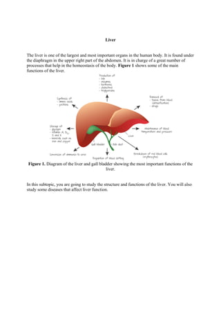 Liver
The liver is one of the largest and most important organs in the human body. It is found under
the diaphragm in the upper right part of the abdomen. It is in charge of a great number of
processes that help in the homeostasis of the body. Figure 1 shows some of the main
functions of the liver.
Figure 1. Diagram of the liver and gall bladder showing the most important functions of the
liver.
In this subtopic, you are going to study the structure and functions of the liver. You will also
study some diseases that affect liver function.
 