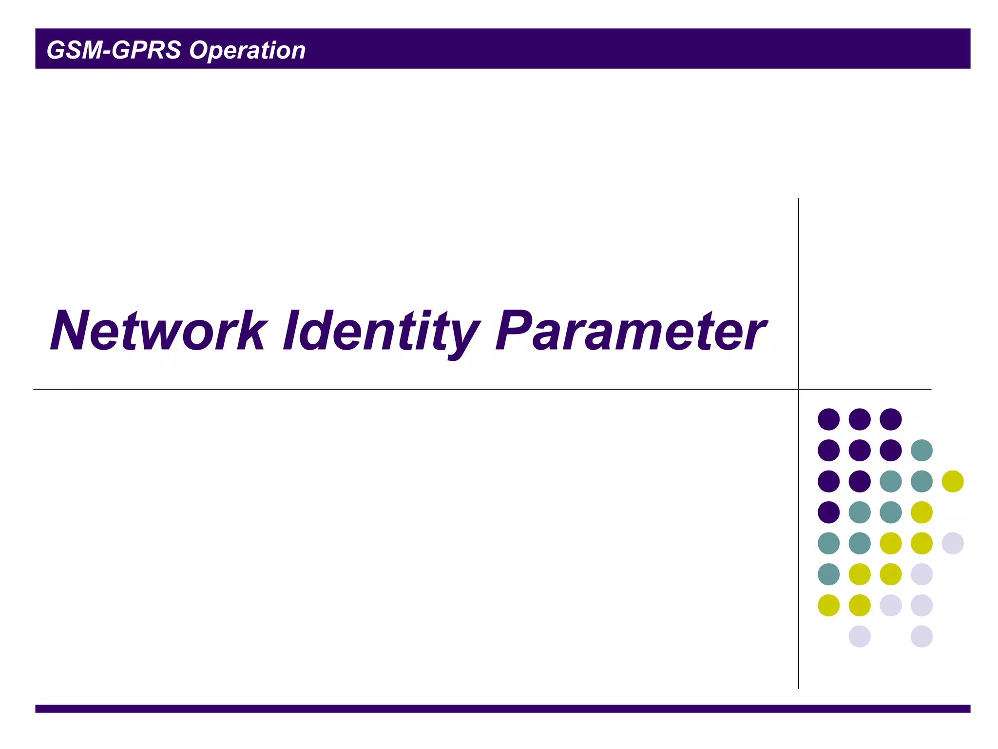 GSM-GPRS Operation
Network Identity Parameter
 