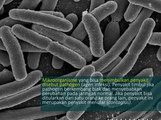 Mikroorganisme yang bisa menimbulkan penyakit
disebut pathogen (agen infeksi). Penyakit timbul jika
pathogen berkembang biak dan menyebabkan
perubahan pada jaringan normal. Jika penyakit bisa
ditularkan dari satu orang ke orang lain, penyakit ini
merupakan penyakit menular (contagius).
 