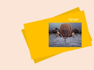Parasit
 