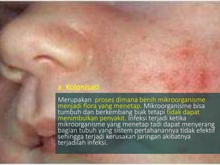 a. Kolonisasi
Merupakan proses dimana benih mikroorganisme
menjadi flora yang menetap. Mikroorganisme bisa
tumbuh dan berkembang biak tetapi tidak dapat
menimbulkan penyakit. Infeksi terjadi ketika
mikroorganisme yang menetap tadi dapat menyerang
bagian tubuh yang sistem pertahanannya tidak efektif
sehingga terjadi kerusakan jaringan akibatnya
terjadilah infeksi.
 