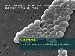 d. Bakterimia
Terjadi ketika dalam darah ditemukan adanya bakteri.
 