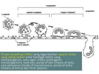 Proses terjadinya infeksi yang digambarkan seperti rantai
yang saling terkait antar berbagai faktor yang
mempengaruhi, yaitu agen infeksi (pathogenic
microorganism), reservoir, portal of exit (means of exit),
cara penularan (mode of transmission), portal of entry
(means of entry) dan host/ pejamu.
 