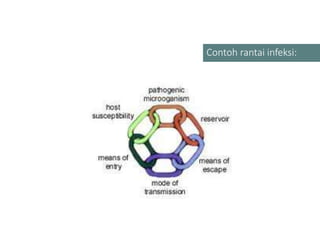 Contoh rantai infeksi:
 