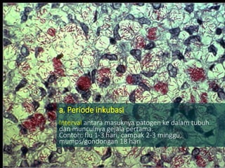 a. Periode inkubasi
Interval antara masuknya patogen ke dalam tubuh
dan munculnya gejala pertama.
Contoh: flu 1-3 hari, campak 2-3 minggu,
mumps/gondongan 18 hari
 