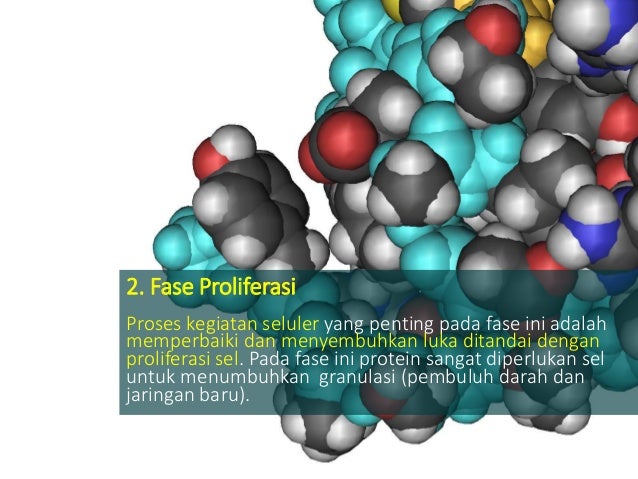 Diabetes Dan Penyembuhan Luka Yesdok Diabetes Dan Penyembuhan Luka Yesdok