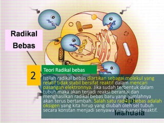 Istilah radikal bebas diartikan sebagai molekul yang
relatif tidak stabil bersifat reaktif dalam mencari
pasangan elektronnya. Jika sudah terbentuk dalam
tubuh maka akan terjadi reaksi berantai dan
menghasilkan radikal bebas baru yang jumlahnya
akan terus bertambah. Salah satu radikal bebas adalah
oksigen yang kita hirup yang diubah oleh sel tubuh
secara konstan menjadi senyawa yang sangat reaktif.
Teori Radikal bebas
2
 