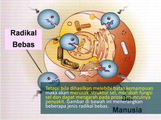 Tetapi bila dihasilkan melebihi batas kemampuan
maka akan merusak struktur sel, merubah fungsi
sel dan dapat mengarah pada proses munculnya
penyakit. Gambar di bawah ini menerangkan
beberapa jenis radikal bebas.
 