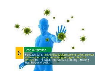 Penuaan yang terjadi disebabkan karena terbentuknya
autoantibodi yang menyerang jaringan tubuh itu
sendiri. Hal ini dapat terlihat pada radang lambung ,
Hashimoto, tiroiditis.
Teori Autoimune
6
 
