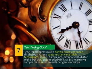 Teori ini mengemukakan bahwa proses penuaan
disebabkan karena suatu urutan yang telah
terprogram, seperti halnya jam, dimana telah diatur
oleh saraf atau sistem endokrin kita. Bila waktunya
sampai maka sel akan mati dengan sendirinya.
Teori “Aging Clock”
7
 