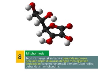 Teori ini menyatakan bahwa penundaan proses
penuaan dapat dilakukan dengan meningkatkan
antioksidan yang menghambat pembentukan radikal
bebas dalam mitokondria.
Mitohormesis
8
 