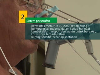 Berat otak menurun 10-20% (setiap orang
berkurang sel otaknya dalam setiap harinya)
Lambat dalam respon dan waktu untuk bereaksi,
khususnya terhadap stres.
Kurang sensitif terhadap sentuhan
Sistem persarafan
2
 