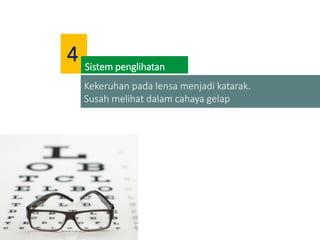 Kekeruhan pada lensa menjadi katarak.
Susah melihat dalam cahaya gelap
Sistem penglihatan
4
 