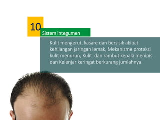 Kulit mengerut, kasare dan bersisik akibat
kehilangan jaringan lemak, Mekanisme proteksi
kulit menurun, Kulit dan rambut kepala menipis
dan Kelenjar keringat berkurang jumlahnya
Sistem integumen
10
 