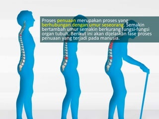 Proses penuaan merupakan proses yang
berhubungan dengan umur seseorang. Semakin
bertambah umur semakin berkurang fungsi-fungsi
organ tubuh. Berikut ini akan dijelaskan fase proses
penuaan yang terjadi pada manusia.
 