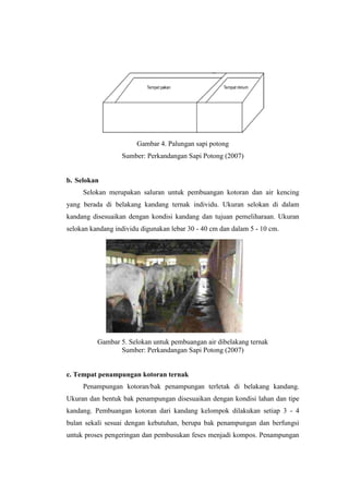 Gambar 4. Palungan sapi potong
Sumber: Perkandangan Sapi Potong (2007)
b. Selokan
Selokan merupakan saluran untuk pembuangan kotoran dan air kencing
yang berada di belakang kandang ternak individu. Ukuran selokan di dalam
kandang disesuaikan dengan kondisi kandang dan tujuan pemeliharaan. Ukuran
selokan kandang individu digunakan lebar 30 - 40 cm dan dalam 5 - 10 cm.
Gambar 5. Selokan untuk pembuangan air dibelakang ternak
Sumber: Perkandangan Sapi Potong (2007)
c. Tempat penampungan kotoran ternak
Penampungan kotoran/bak penampungan terletak di belakang kandang.
Ukuran dan bentuk bak penampungan disesuaikan dengan kondisi lahan dan tipe
kandang. Pembuangan kotoran dari kandang kelompok dilakukan setiap 3 - 4
bulan sekali sesuai dengan kebutuhan, berupa bak penampungan dan berfungsi
untuk proses pengeringan dan pembusukan feses menjadi kompos. Penampungan
 