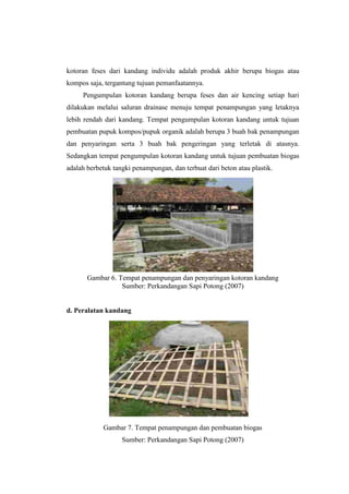 kotoran feses dari kandang individu adalah produk akhir berupa biogas atau
kompos saja, tergantung tujuan pemanfaatannya.
Pengumpulan kotoran kandang berupa feses dan air kencing setiap hari
dilakukan melalui saluran drainase menuju tempat penampungan yang letaknya
lebih rendah dari kandang. Tempat pengumpulan kotoran kandang untuk tujuan
pembuatan pupuk kompos/pupuk organik adalah berupa 3 buah bak penampungan
dan penyaringan serta 3 buah bak pengeringan yang terletak di atasnya.
Sedangkan tempat pengumpulan kotoran kandang untuk tujuan pembuatan biogas
adalah berbetuk tangki penampungan, dan terbuat dari beton atau plastik.
Gambar 6. Tempat penampungan dan penyaringan kotoran kandang
Sumber: Perkandangan Sapi Potong (2007)
d. Peralatan kandang
Gambar 7. Tempat penampungan dan pembuatan biogas
Sumber: Perkandangan Sapi Potong (2007)
 