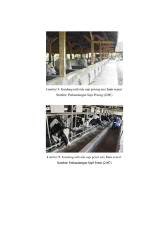 Gambar 8. Kandang individu sapi potong satu baris searah
Sumber: Perkandangan Sapi Potong (2007)
Gambar 9. Kandang individu sapi perah satu baris searah
Sumber: Perkandangan Sapi Perah (2007)
 