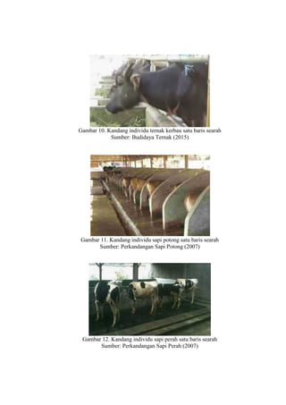 Gambar 10. Kandang individu ternak kerbau satu baris searah
Sumber: Budidaya Ternak (2015)
Gambar 11. Kandang individu sapi potong satu baris searah
Sumber: Perkandangan Sapi Potong (2007)
Gambar 12. Kandang individu sapi perah satu baris searah
Sumber: Perkandangan Sapi Perah (2007)
 