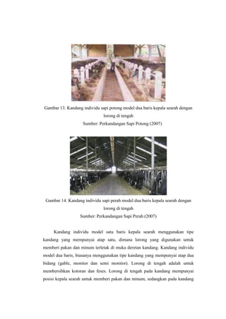 Gambar 13. Kandang individu sapi potong model dua baris kepala searah dengan
lorong di tengah
Sumber: Perkandangan Sapi Potong (2007)
Gambar 14. Kandang individu sapi perah model dua baris kepala searah dengan
lorong di tengah
Sumber: Perkandangan Sapi Perah (2007)
Kandang individu model satu baris kepala searah menggunakan tipe
kandang yang mempunyai atap satu, dimana lorong yang digunakan untuk
memberi pakan dan minum terletak di muka deretan kandang. Kandang individu
model dua baris, biasanya menggunakan tipe kandang yang mempunyai atap dua
bidang (gable, monitor dan semi monitor). Lorong di tengah adalah untuk
membersihkan kotoran dan feses. Lorong di tengah pada kandang mempunyai
posisi kepala searah untuk memberi pakan dan minum, sedangkan pada kandang
 