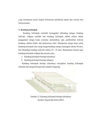 yang mempunyai posisi kepala berlawanan pemberian pakan dan minum bisa
menyesuaikan.
2. Kandang kelompok
Kandang kelompok memiliki keunggulan dibanding dengan kandang
individu. Adapun manfaat dari kandang kelompok adalah efisien dalam
penggunaan tenaga kerja, terutama memandikan sapi, pembersihan kotoran
kandang, deteksi birahi, dan perkawinan alam. Manajemen tenaga kerja untuk
kandang kelompok satu orang tenaga kandang mampu menangani sekitar 50 ekor,
bila dibanding kandang individu sekitar 20 - 25 ekor. Berdasarkan bentuk atap,
kandang kelompok terdapat dua macam yaitu:
a. Kandang kelompok beratap seluruhnya
b. Kandang kelompok beratap sebagian
Kandang kelompok beratap seluruhnya merupakan kandang kelompok
terhindar dari pengaruh hujan dan matahari langsung.
Gambar 15. Kandang kelompok beratap seluruhnya
Sumber: Rasyid dan Harti (2007)
 