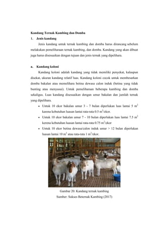 Kandang Ternak Kambing dan Domba
1. Jenis kandang
Jenis kandang untuk ternak kambing dan domba harus dirancang sebelum
melakukan pemeliharaan ternak kambing, dan domba. Kandang yang akan dibuat
juga harus disesuaikan dengan tujuan dan jenis ternak yang dipelihara.
a. Kandang koloni
Kandang koloni adalah kandang yang tidak memiliki penyekat, kalaupun
disekat, ukuran kandang relatif luas. Kandang koloni cocok untuk membesarkan
domba bakalan atau memelihara betina dewasa calon induk (betina yang tidak
bunting atau menyusui). Untuk pemeliharaan beberapa kambing dan domba
sekaligus. Luas kandang disesuaikan dengan umur bakalan dan jumlah ternak
yang dipelihara.
 Untuk 10 ekor bakalan umur 3 - 7 bulan diperlukan luas lantai 5 m2
karena kebutuhan luasan lantai rata-rata 0.5 m2
/ekor.
 Untuk 10 ekor bakalan umur 7 - 10 bulan diperlukan luas lantai 7.5 m2
kerena kebutuhan luasan lantai rata-rata 0.75 m2
/ekor
 Untuk 10 ekor betina dewasa/calon induk umur > 12 bulan diperlukan
luasan lantai 10 m2
atau rata-rata 1 m2
/ekor.
Gambar 20. Kandang ternak kambing
Sumber: Sukses Beternak Kambing (2017)
 