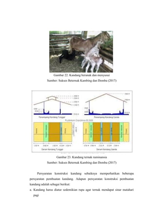 Gambar 22. Kandang beranak dan menyusui
Sumber: Sukses Beternak Kambing dan Domba (2017)
Gambar 23. Kandang ternak ruminansia
Sumber: Sukses Beternak Kambing dan Domba (2017)
Persyaratan konstruksi kandang sebaiknya memperhatikan beberapa
persyaratan pembuatan kandang. Adapun persyaratan konstruksi pembuatan
kandang adalah sebagai berikut:
a. Kandang harus diatur sedemikian rupa agar ternak mendapat sinar matahari
pagi
 