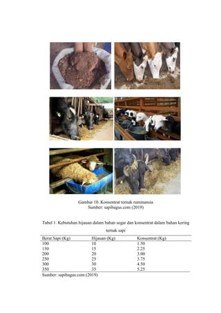 Gambar 10. Konsentrat ternak ruminansia
Sumber: sapibagus.com (2019)
Tabel 1. Kebutuhan hijauan dalam bahan segar dan konsentrat dalam bahan kering
ternak sapi
Berat Sapi (Kg) Hijauan (Kg) Konsentrat (Kg)
100 10 1.50
150 15 2.25
200 20 3.00
250 25 3.75
300 30 4.50
350 35 5.25
Sumber: sapibagus.com (2019)
 