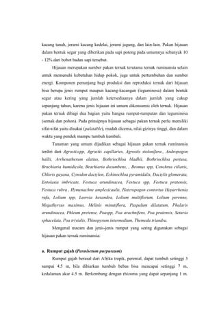 kacang tanah, jerami kacang kedelai, jerami jagung, dan lain-lain. Pakan hijauan
dalam bentuk segar yang diberikan pada sapi potong pada umumnya sebanyak 10
- 12% dari bobot badan sapi tersebut.
Hijauan merupakan sumber pakan ternak terutama ternak ruminansia selain
untuk memenuhi kebutuhan hidup pokok, juga untuk pertumbuhan dan sumber
energi. Komponen penunjang bagi produksi dan reproduksi ternak dari hijauan
bisa berupa jenis rumput maupun kacang-kacangan (leguminosa) dalam bentuk
segar atau kering yang jumlah ketersediaanya dalam jumlah yang cukup
sepanjang tahun, karena jenis hijauan ini umum dikonsumsi oleh ternak. Hijauan
pakan ternak dibagi dua bagian yaitu bangsa rumput-rumputan dan leguminosa
(semak dan pohon). Pada prinsipnya hijauan sebagai pakan ternak perlu memiliki
sifat-sifat yaitu disukai (palatable), mudah dicerna, nilai gizinya tinggi, dan dalam
waktu yang pendek mampu tumbuh kembali.
Tanaman yang umum dijadikan sebagai hijauan pakan ternak ruminansia
terdiri dari Agrostisspp, Agrostis capillaries, Agrostis stolonifera , Andropogon
hallii, Arrhenatherum elatius, Bothriochloa bladhii, Bothriochloa pertusa,
Brachiaria humidicola, Brachiaria decumbens, , Bromus spp, Cenchrus ciliaris,
Chloris gayana, Cynodon dactylon, Echinochloa pyramidalis, Dactylis glomerata,
Entolasia imbricate, Festuca arundinacea, Festuca spp, Festuca pratensis,
Festuca rubra , Hymenachne amplexicaulis, Heteropogon contortus Hyparrhenia
rufa, Lolium spp, Leersia hexandra, Lolium multiflorum, Lolium perenne,
Megathyrsus maximus, Melinis minutiflora, Paspalum dilatatum, Phalaris
arundinacea, Phleum pretense, Poaspp, Poa arachnifera, Poa pratensis, Setaria
sphacelata, Poa trivialis, Thinopyrum intermedium, Themeda triandra.
Mengenal macam dan jenis-jenis rumput yang sering digunakan sebagai
hijauan pakan ternak ruminansia:
a. Rumput gajah (Pennisetum purpureum)
Rumput gajah berasal dari Afrika tropik, perenial, dapat tumbuh setinggi 3
sampai 4.5 m, bila dibiarkan tumbuh bebas bisa mencapai setinggi 7 m,
kedalaman akar 4.5 m. Berkembang dengan rhizoma yang dapat sepanjang 1 m.
 