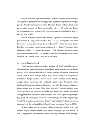 Panicum maximum juga tahan naungan, responsif terhadap pupuk nitrogen,
dan juga tahan penggembalaan sehingga dapat dijadikan rumput potong ataupun
pasture. Pengelolaan tanaman ini dapat dilakukan dengan budidaya total, untuk
perbanyakan tanaman ini dapat menggunakan biji 4 - 12 kg/ha atau dengan
menggunakan sobekan rumput (pols), jarak tanam yang sesuai adalah 60 x 60 cm
(Soegiri et al., 1982).
Panicum maximum dapat ditanam bersama leguminosa Centrosema dengan
perbandingan 4 - 6 kg, Panicum per ha dan 2 - 3 kg, Centro per ha atau dalam
baris-baris berseling. Pemotongan dapat dilakukan 40 - 60 hari sekali atau dengan
kata lain pemotongan pertama dapat dilakukan 2 - 3 bulan. Peremajaan dapat
dilakukan setelah 5 - 7 tahun (Widjajanto, 1992). Panicum maximum mampu
menghasilkan produksi biji 75 - 300 kg/ha dan menghasilkan produksi hijauan
sebanyak 100 - 150 ton bahan kering per ha per tahun.
2. Legum (Leguminoceae)
Famili tanaman leguminosa terbagi atas tiga sub famili yaitu Mimosaceae,
Caesalpinaceae, dan Papilionaceae. Leguminosa adalah tanaman dicotyledoneae
(bijinya terdiri dari dua kotiledon atau disebut juga berkeping dua). Mimosaceae
adalah tanaman perdu berkayu dengan bunga biasa sedangkan Caesalpinaceae
mempunyai bunga irregular. Papilionaceae adalah tanaman semak berkayu
dengan bunga papilionate atau berbentuk seperti kupu. Umumnya sistem
perakaran leguminosa terdiri atas akar primer yang aktif dan mempunyai cabang-
cbang sebagai akar sekunder. Akar primer (tap root) tumbuh kedalam tanah.
Sistem perakaran itu umumnya terinfeksi oleh bakteri dari species Rhizobium
sehingga terbentuk bintil-bintil atu nodul-nodul akar. Famili legum dibagi menjadi
tiga group sub famili, yaitu mimisaceae (tanaman kayu dan herba dengan bunga
“regular”), caesalpinaceae (tanaman dengan bunga “irregular”), dan papilonaceae
(tanaman kayu dan herba ciri khas berbentuk bunga kupu-kupu) (Susetyo, 1980).
Hijauan pakan jenis leguminose (polong-polongan) memiliki sifat yang
berbeda dengan rumput-rumputan, jenis legume umumnya kaya akan protein, Ca
dan P. Leguminose memiliki bintil-bintil akar yang berfungsi dalam pensuplai
 