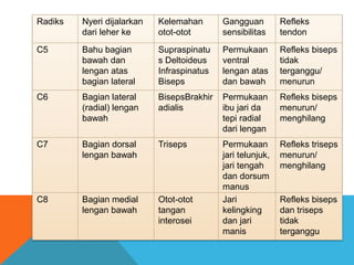 Modul 3 Skenario 2 Muskuloskeletal | PPTX
