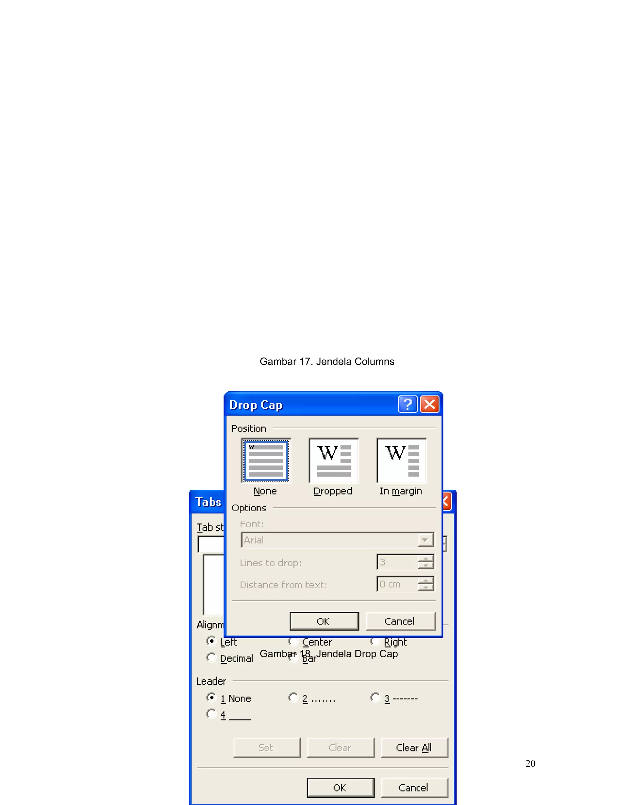 Gambar 17. Jendela Columns




Gambar 18. Jendela Drop Cap




                              20
 