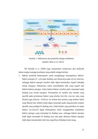 13
Gambar 1. Mekanisme aksi probiotik sebagai antibakteri
Sumber: Brito at al. (2012)
Mc Donald et al. (2002) juga menjelaskan mekanisme aksi probiotik
dalam rangka menjaga kesehatan inang adalah sebagai berikut:
1. Bakteri probiotik berkompetisi untuk menghalangi menempelnya bakteri-
bakteri patogen (E. coli) pada dinding usus khususnya pada sel-sel enterosit,
sehingga bakteri patogen tersebut tidak dapat berinteraksi negatif terhadap
ternak inangnya. Mekanisme untuk menimbulkan efek yang negatif dari
bakteri-bakteri patogen, maka bakteri-bakteri tersebut perlu menempel pada
dinding usus ternak inangnya. Penempelan ini melalui satu struktur yang
spesifik pada permukaan bakteri yang disebut hair-like structure atau yang
disebut juga fimbriae. Fimbriae ini terbuat dari protein yang disebut lektin
yang dikenal dan selektif untuk dapat menempel pada oligosacarida reseptor
spesifik yang terdapat di dinding usus. Pada kondisi yang demikian ini maka
bakteri Lactobacilli dapat berkompetisi untuk menggantikan kedudukan
bakteri patogen yang menempel di dinding usus, sehingga bakteri patogen
tidak dapat menempel di dinding usus dan pada akhirnya bakteri patogen
tidak dapat memproduksi aktivitas negatifnya terhadap ternak inang.
 