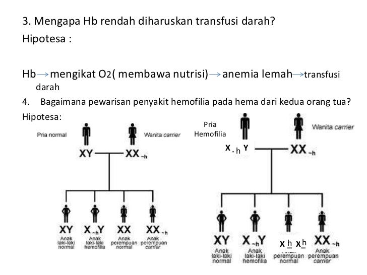 Modul 4 (skenario terminologi)