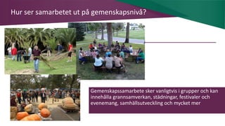 AIM | ACCESSIBILITY & INCLUSION FOR MIRGRANTS
Hur ser samarbetet ut på gemenskapsnivå?
Gemenskapssamarbete sker vanligtvis i grupper och kan
innehålla grannsamverkan, städningar, festivaler och
evenemang, samhällsutveckling och mycket mer
 