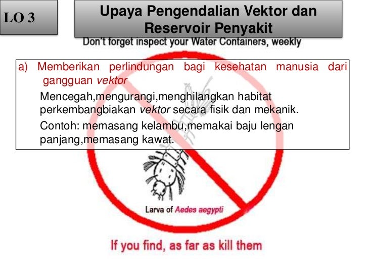 Modul5