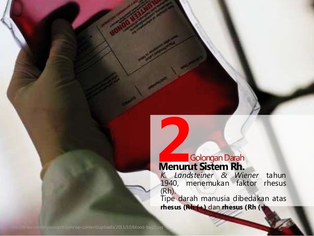 Modul 6 biologi kb 5