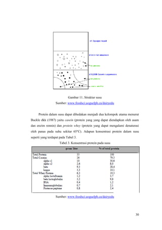 30
Gambar 11. Struktur susu
Sumber: www.foodsci.uoguelph.ca/dairyedu
Protein dalam susu dapat dibedakan menjadi dua kelompok utama menurut
Buckle dkk (1987) yaitu casein (protein yang yang dapat diendapkan oleh asam
dan enzim rennin) dan protein whey (protein yang dapat mengalami denaturasi
oleh panas pada suhu sekitar 65°C). Adapun konsentrasi protein dalam susu
seperti yang terdapat pada Tabel 3.
Tabel 3. Konsentrasi protein pada susu
Sumber: www.foodsci.uoguelph.ca/dairyedu
 