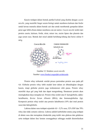 31
Kasein terdapat dalam bentuk partikel koloid yang disebut dengan casein
micelle, yang memiliki fungsi secara biologi untuk membawa kalsium dan fosfor
untuk hewan mamalia dalam bentuk cair dan untuk membentuk gumpalan dalam
perut agar lebih efisien dalam membawa zat-zat nutrisi. Casein micelle terdiri dari
protein casein, kalsium, fosfat, sitrat, minor ion, enzim lipase dan plasmin dan
juga serum susu. Bentuk dari misel adalah berlubang-lubang dan berisi sekitar 4
ml/g.
Gambar 12. Struktur casein micelle
Sumber: www.foodsci.uoguelph.ca/dairyedu
Protein whey terbentuk setelah proses pemisahan protein susu pada pH
4,6. Globular protein whey lebih mudah larut dalam air dibandingkan dengan
kasein, tetapi globular protein juga terdenaturasi oleh panas. Protein whey
memiliki daya gel yang baik dan dapat mengembang. Denaturasi protein akan
meningkatkan daya mengikat air. Protein whey terdiri atas ß -lactoglobulin, alpha-
lactalbumin, Bovine Serum Albumin (BSA), dan Immunoglobulins (Ig).
Komposisi protein whey terdiri atas protein laktalbumin (10% dari total protein
susu) dan laktoglobulin.
Laktosa dalam susu terdapat sejumlah 4,8 - 5,2% susu, 52% SNF dan 70%
whey dan tidak semanis sukrosa. Laktosa adalah karbohidrat utama yang terdapat
di dalam susu dan merupakan disakarida yang terdiri atas glukosa dan galaktosa
serta terdapat dalam fase larutan sesungguhnya sehingga mudah diasimilasikan
 