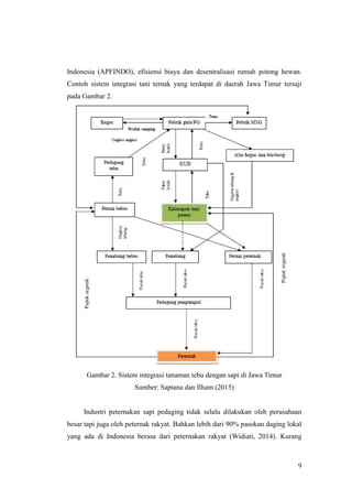 9
Indonesia (APFINDO), efisiensi biaya dan desentralisasi rumah potong hewan.
Contoh sistem integrasi tani ternak yang terdapat di daerah Jawa Timur tersaji
pada Gambar 2.
Gambar 2. Sistem integrasi tanaman tebu dengan sapi di Jawa Timur
Sumber: Saptana dan Ilham (2015)
Industri peternakan sapi pedaging tidak selalu dilakukan oleh perusahaan
besar tapi juga oleh peternak rakyat. Bahkan lebih dari 90% pasokan daging lokal
yang ada di Indonesia berasa dari peternakan rakyat (Widiati, 2014). Kurang
 