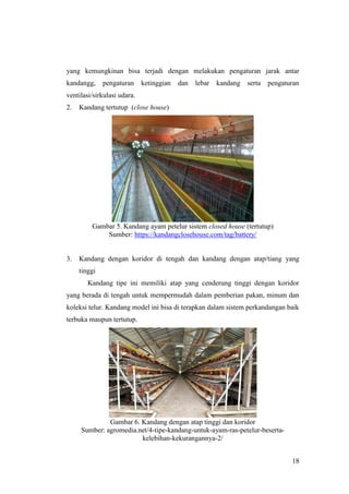 18
yang kemungkinan bisa terjadi dengan melakukan pengaturan jarak antar
kandangg, pengaturan ketinggian dan lebar kandang serta pengaturan
ventilasi/sirkulasi udara.
2. Kandang tertutup (close house)
Gambar 5. Kandang ayam petelur sistem closed house (tertutup)
Sumber: https://kandangclosehouse.com/tag/battery/
3. Kandang dengan koridor di tengah dan kandang dengan atap/tiang yang
tinggi
Kandang tipe ini memiliki atap yang cenderung tinggi dengan koridor
yang berada di tengah untuk mempermudah dalam pemberian pakan, minum dan
koleksi telur. Kandang model ini bisa di terapkan dalam sistem perkandangan baik
terbuka maupun tertutup.
Gambar 6. Kandang dengan atap tinggi dan koridor
Sumber: agromedia.net/4-tipe-kandang-untuk-ayam-ras-petelur-beserta-
kelebihan-kekurangannya-2/
 