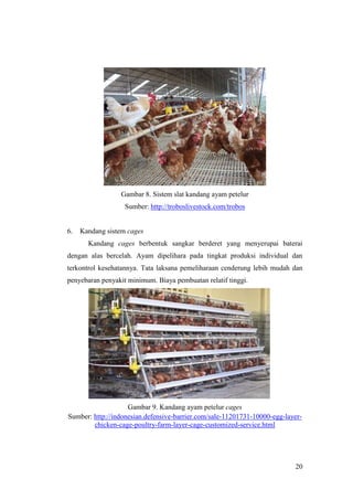 20
Gambar 8. Sistem slat kandang ayam petelur
Sumber: http://troboslivestock.com/trobos
6. Kandang sistem cages
Kandang cages berbentuk sangkar berderet yang menyerupai baterai
dengan alas bercelah. Ayam dipelihara pada tingkat produksi individual dan
terkontrol kesehatannya. Tata laksana pemeliharaan cenderung lebih mudah dan
penyebaran penyakit minimum. Biaya pembuatan relatif tinggi.
Gambar 9. Kandang ayam petelur cages
Sumber: http://indonesian.defensive-barrier.com/sale-11201731-10000-egg-layer-
chicken-cage-poultry-farm-layer-cage-customized-service.html
 