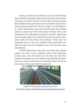21
Kandang yang dipakai dalam pemeliharaan ayam petelur adalah kandang
baterai berbentuk persegi panjang sangkar empat (cages) dengan susunan berderet
memanjang yang memiliki tingkat dua atau lebih. Bahan yang biasa digunakan
dalam pembuatan kandang ayam petelur yaitu kawat atau bambu. Kandang baterai
biasanya berukuran panjang 40 cm, lebar 40 cm, tinggi 37 cm serta belakang 30
cm. Ventilasi kandnag dibuat sangat terbuka baik pada bagian depan, belakang
maupun atas dengan bagian bawah dibuat dengan kemiringan tertentu untuk
mempermudah telur menggelinding atau bergulir ke arah depan. Bagian bawah
juga dibuat agak renggang untuk mempermudah kotoran ayam jatuh ke bawah.
Tempat makan dan minum dibuat sesuai kandangnya. Tempat pakan bisa
menggunakan pipa atau kayu yang melengkung untuk mempermudah ayam
makan dan tempat minum bisa menggunakan nipple drinker atau pipa cekung
yang memanjang.
Kelebihan kandang baterai ayam petelur yaitu sirkulasi udara maksimal
sehingga ayam merasa nyaman, menghindari kanibal, mudah pengontrolan
kesehatan, pakan, minum dan produksi ayam dan kondisi telur lebih bersih.
Sedangkan kekurangannya yaitu ayam mudah terserang kelumpuhan dan apabila
kotoran ayam tidak rajin dibersihkan akan mengakibatkan banyak lalat dan bau
yang menyengat sehingga ayam mudah terserang penyakit.
Gambar 10. Kandang baterai ayam petelur dari kawat
Sumber:https://adam-nv.com/id/kandang-baterai-ayam-kandang-batery-kawat/
 