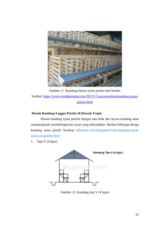 22
Gambar 11. Kandang baterai ayam petelur dari bambu
Sumber: https://www.ternakpertama.com/2015/12/cara-membuat-kandang-ayam-
petelur.html
Desain Kandang Unggas Petelur di Daerah Tropis
Desain kandang ayam petelur dengan tata letak dan layout kandang akan
mempengaruhi jumlah/kapasitas ayam yang diternakkan. Berikut beberapa design
kandang ayam petelur berdasar kabartani.com/mengenal-4-tipe-kandang-untuk-
ayam-ras-petelur.html.
1. Tipe V (4 lajur)
Gambar 12. Kandang tipe V (4 lajur)
 