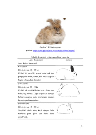 6
Gambar 5. Kelinci anggora
Sumber: https://www.pets4homes.co.uk/breeds/rabbits/angora/
Tabel 1. Jenis-jenis kelinci pembibitan komersial
Jenis dan ciri-ciri Gambar
Jenis Kelinci Komersial
Californian
Bobot dewasa 3,6 - 4,8 kg
Kelinci ini memiliki warna mata pink dan
punya point hitam, coklat, biru atau lilac pada
bagian telinga, kaki dan ekor.
New zealand
Bobot dewasa 4,1 - 54 kg
Kelinci ini memiliki badan lebar, dalam dan
bulu yang lembut. Dapat digunakan sebagai
kelinci pedaging, kulit, kesayangan maupun
kepentingan laboratorium.
Florida white
Bobot dewasa 1,8 - 2,7 kg
Memiliki tubuh yang kecil dengan bulu
berwarna putih polos dan warna mata
merah/pink.
 